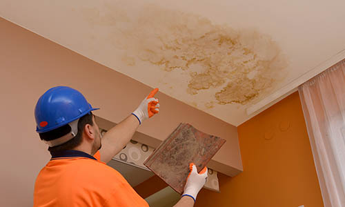Got Mold? Got Water Damage? See what we can do for you!